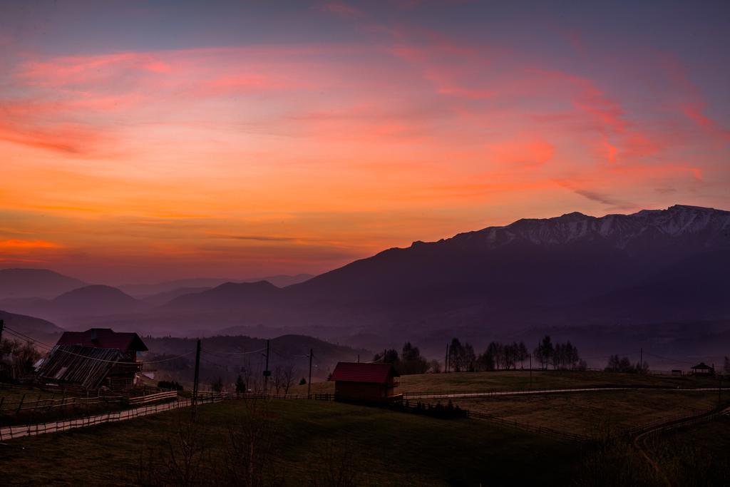 Nobillis - Carpathian Residence Peștera Bagian luar foto