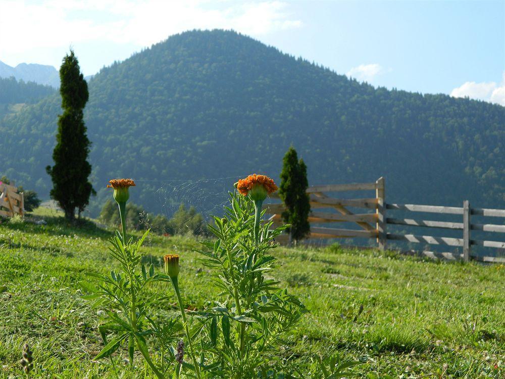 Nobillis - Carpathian Residence Peștera Bagian luar foto