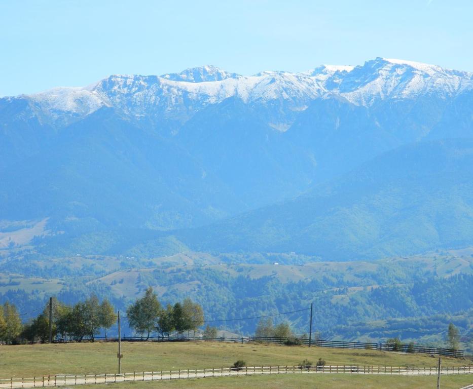 Nobillis - Carpathian Residence Peștera Bagian luar foto