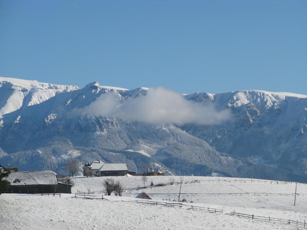 Nobillis - Carpathian Residence Peștera Bagian luar foto